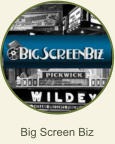 Big Screen Biz